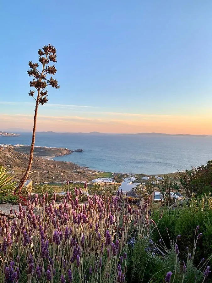 Σπίτι διακοπών The Seaview Lodge Mykonos Town